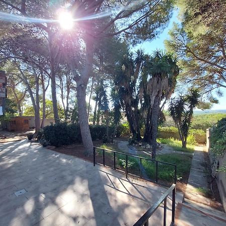 Chalet Rustico Con Piscina Y Barbacoa, Valencia تورينت المظهر الخارجي الصورة